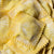 Parma Green Tortelli